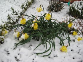 IMG_0157.jpg